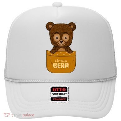 Little Bear Inside The Pocket Hat