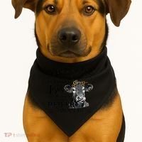 Living Between Jesus Take The Wheel And I Wish A Heifer USA-Made Doggie Bandana thumb 1