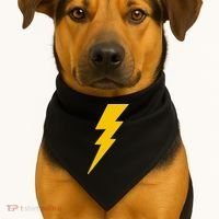 Lightning Bolt USA-Made Doggie Bandana thumb 1