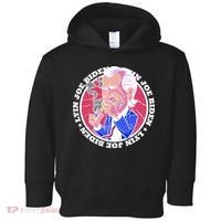 Lyin Biden Toddler Hoodie thumb 0