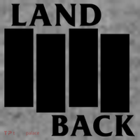 Land Back Movement, Native American LandBack Toddler Hoodie thumb 2