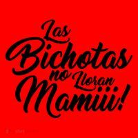 Las Bichotas No Lloran Mamiii Party Santa Hat thumb 1