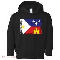 Louisiana Cajun Acadiana Flag Toddler Hoodie thumb 0