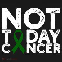 Liver Cancer Awareness Not Today Cancer Green Ribbon Gift Women's Hoodie thumb 2