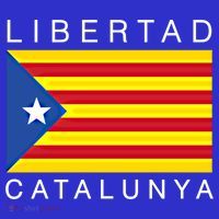 Libertad Catalunya Catalan Catalonia Independence Espana Gift Hoodie thumb 7