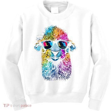 Lama Colorful Cool Alpaca Alpacalover Kids Sweatshirt