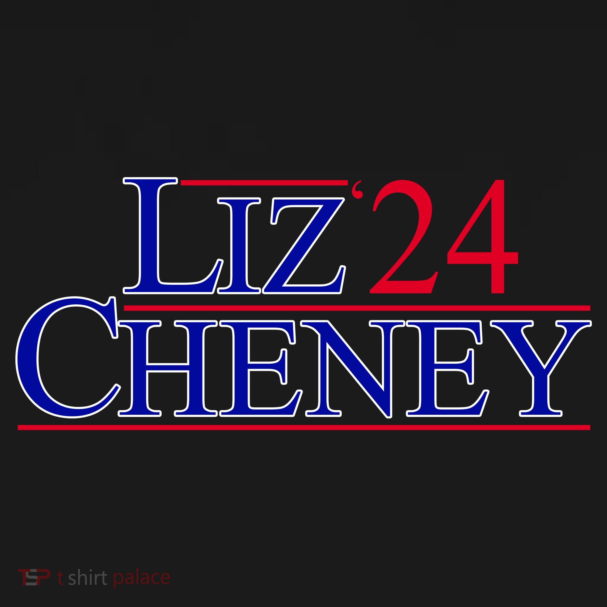 Liz Cheney For President 2024 USA Toddler Hoodie
