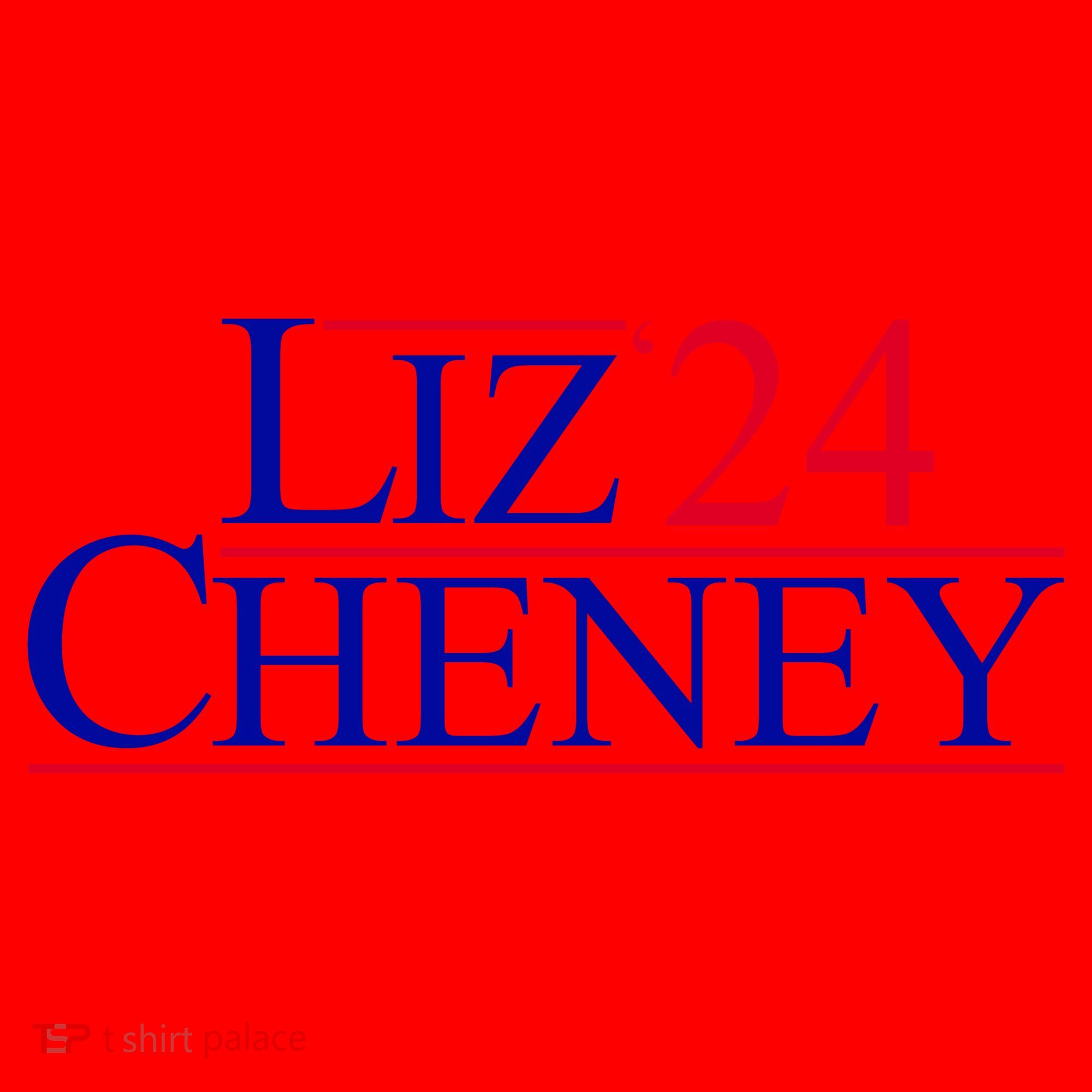 Liz Cheney For President 2024 USA Santa Hat