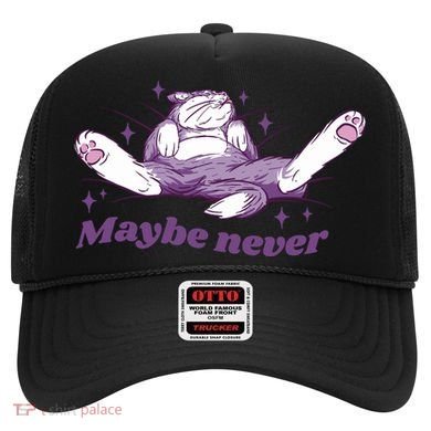 Lazy Cat Maybe Never Funny Hat