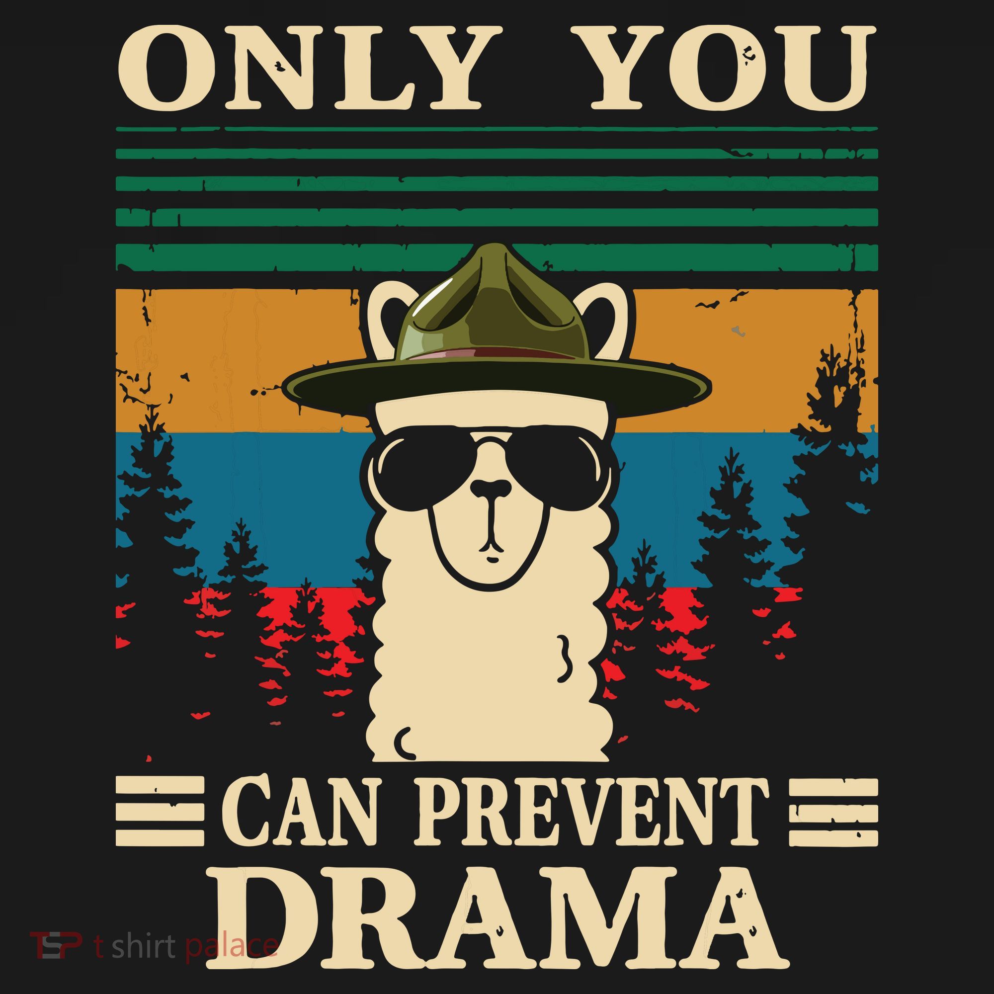Llama Camping Only You Can Prevent Drama Gifts Men Women Women's Long Sleeve Shirt