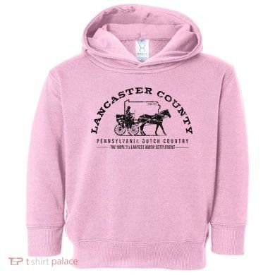 Lancaster County Pennsylvania Amish Settlement Est 1760 Toddler Hoodie