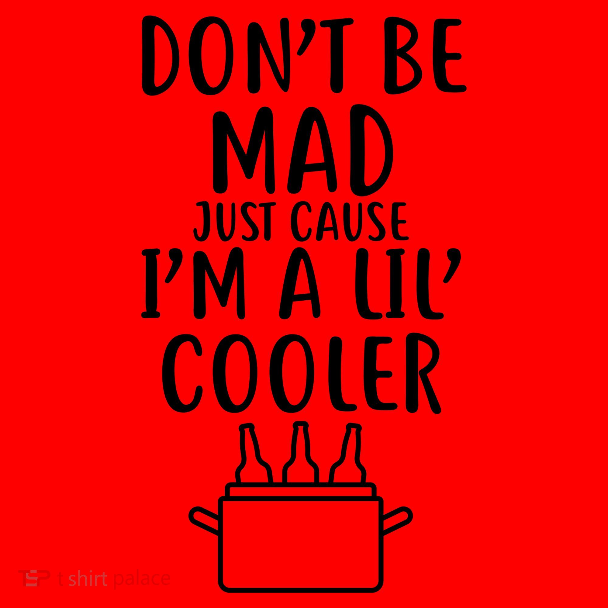 DonT Be Mad Just Cause IM A Lil Cooler Santa Hat