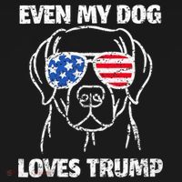 Labrador Dog Flag Sunglasses Even My Dog Loves Trump 2024 Women's Hoodie thumb 2
