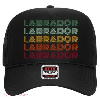 Labrador Dog Hat