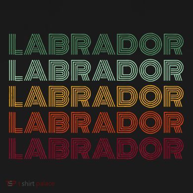 Labrador Dog Retro Women's Perfect Tri Tunic Long Sleeve Shirt