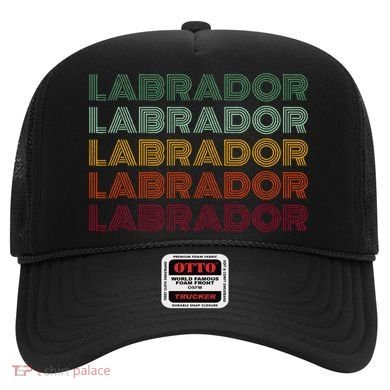 Labrador Dog Retro Hat