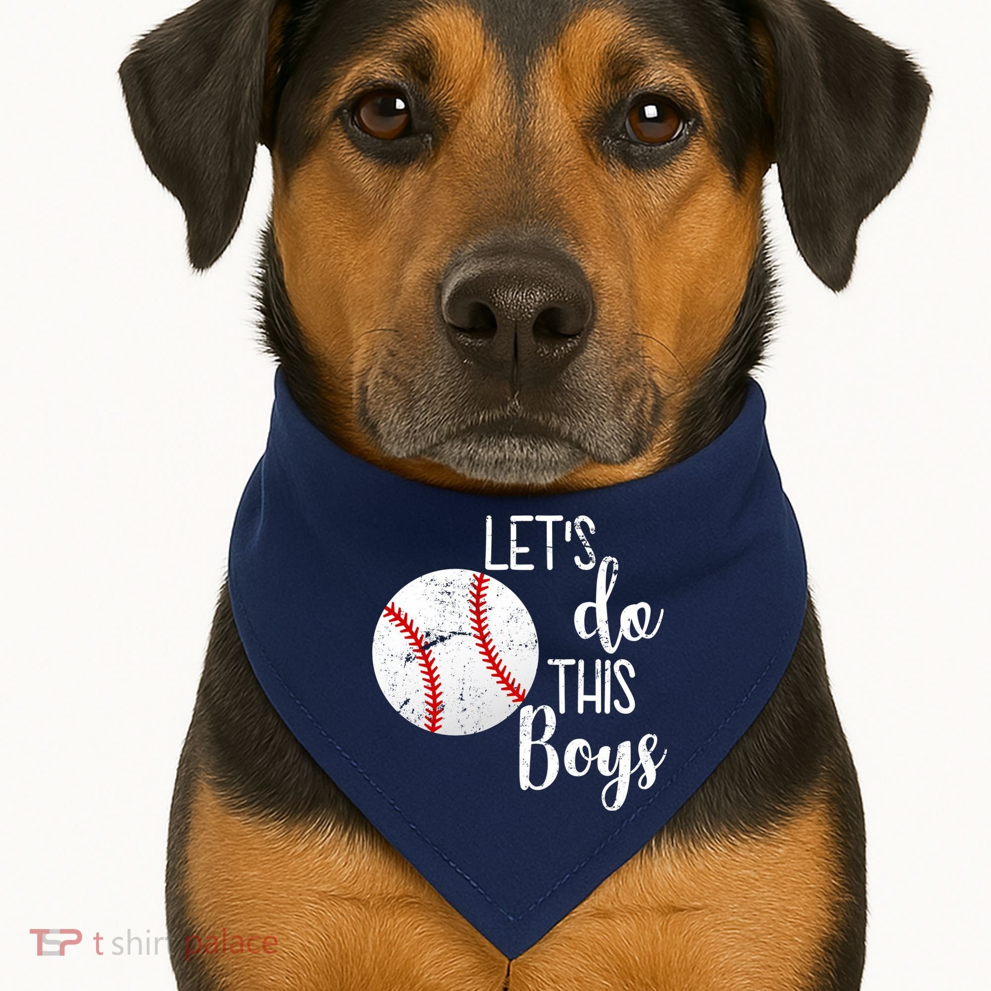 Let's Do This Boys Baseball USA-Made Doggie Bandana