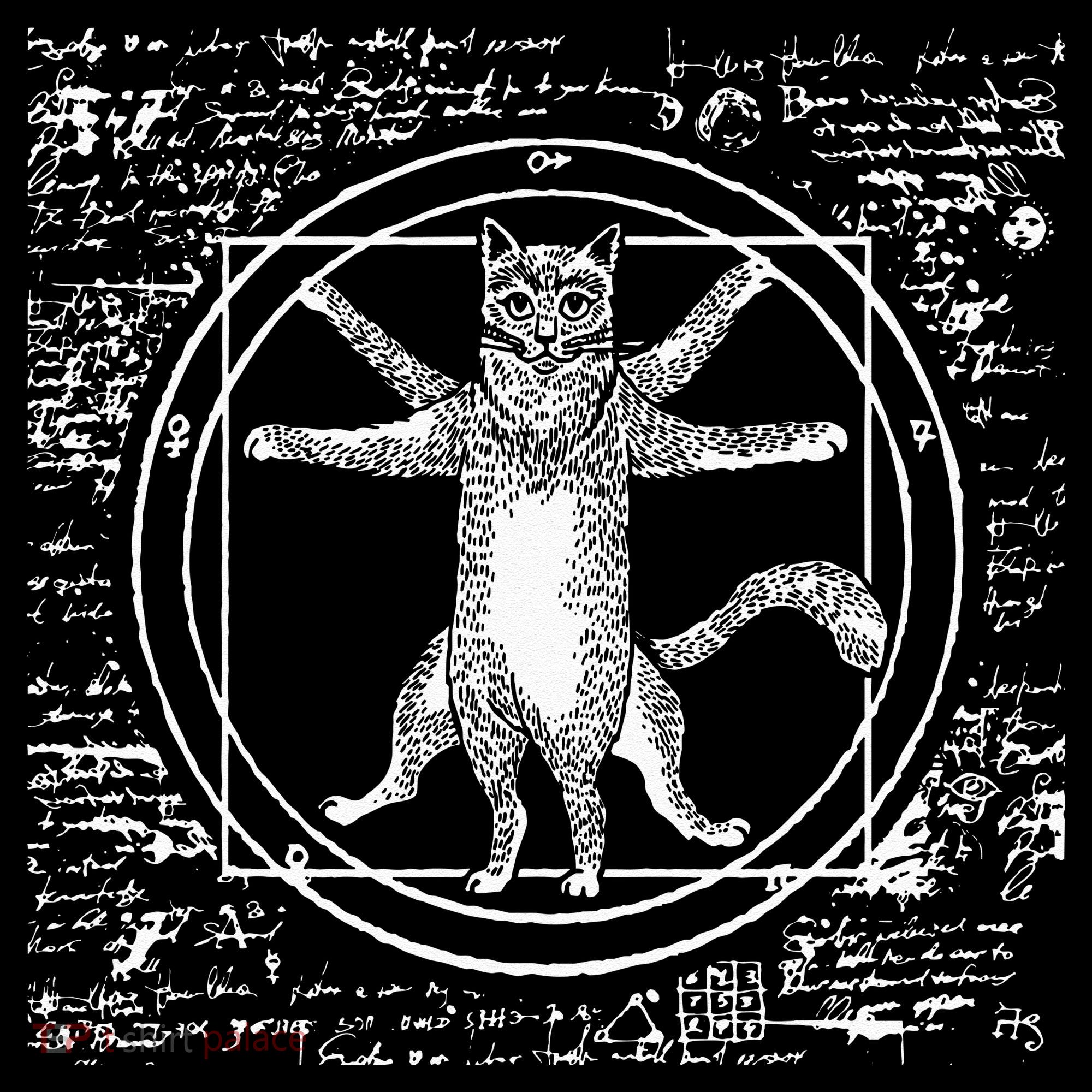 Leonardo Da Vinci Vitruvian Cat Lover Coaster