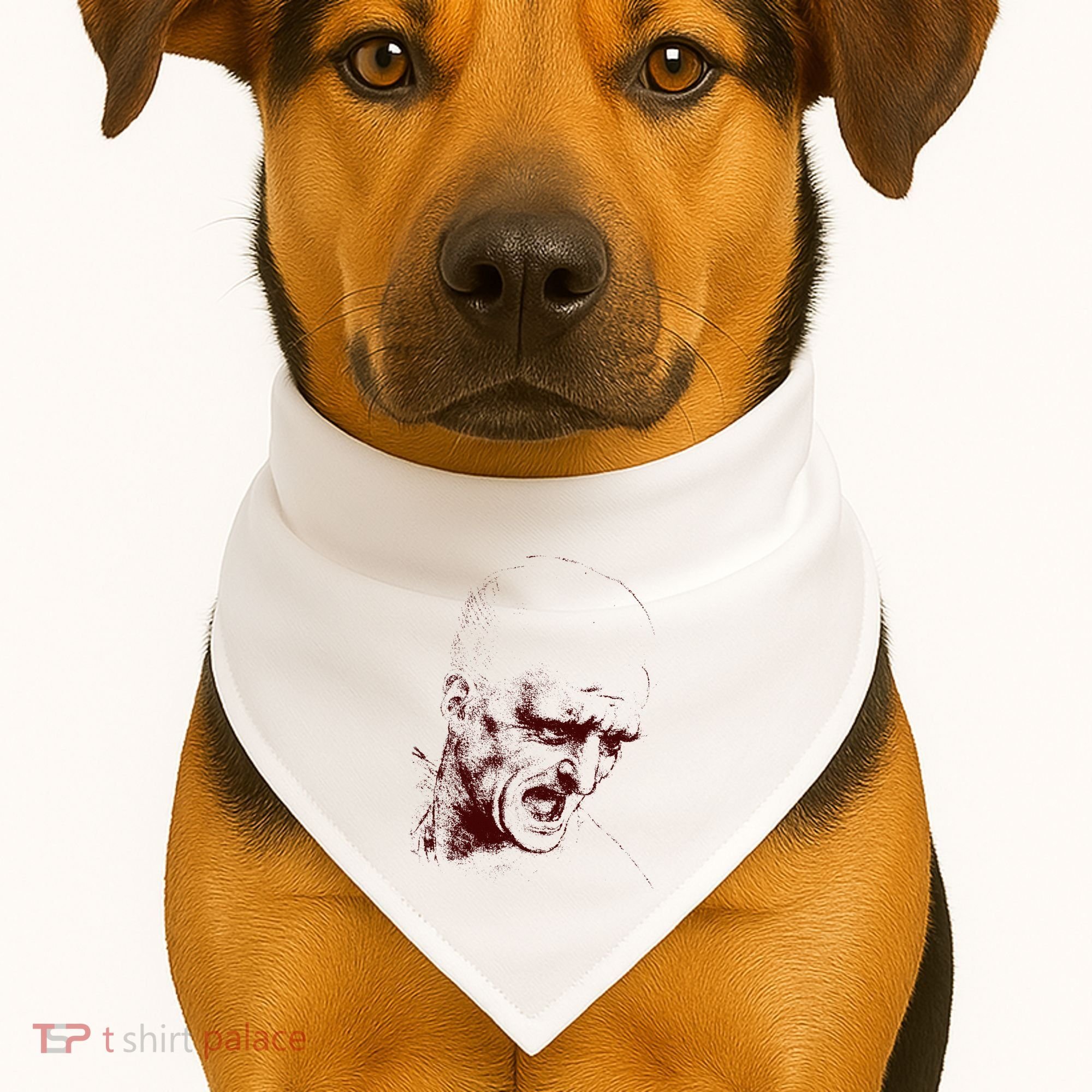 Leonardo Da Vinci Shouting Soldier USA-Made Doggie Bandana
