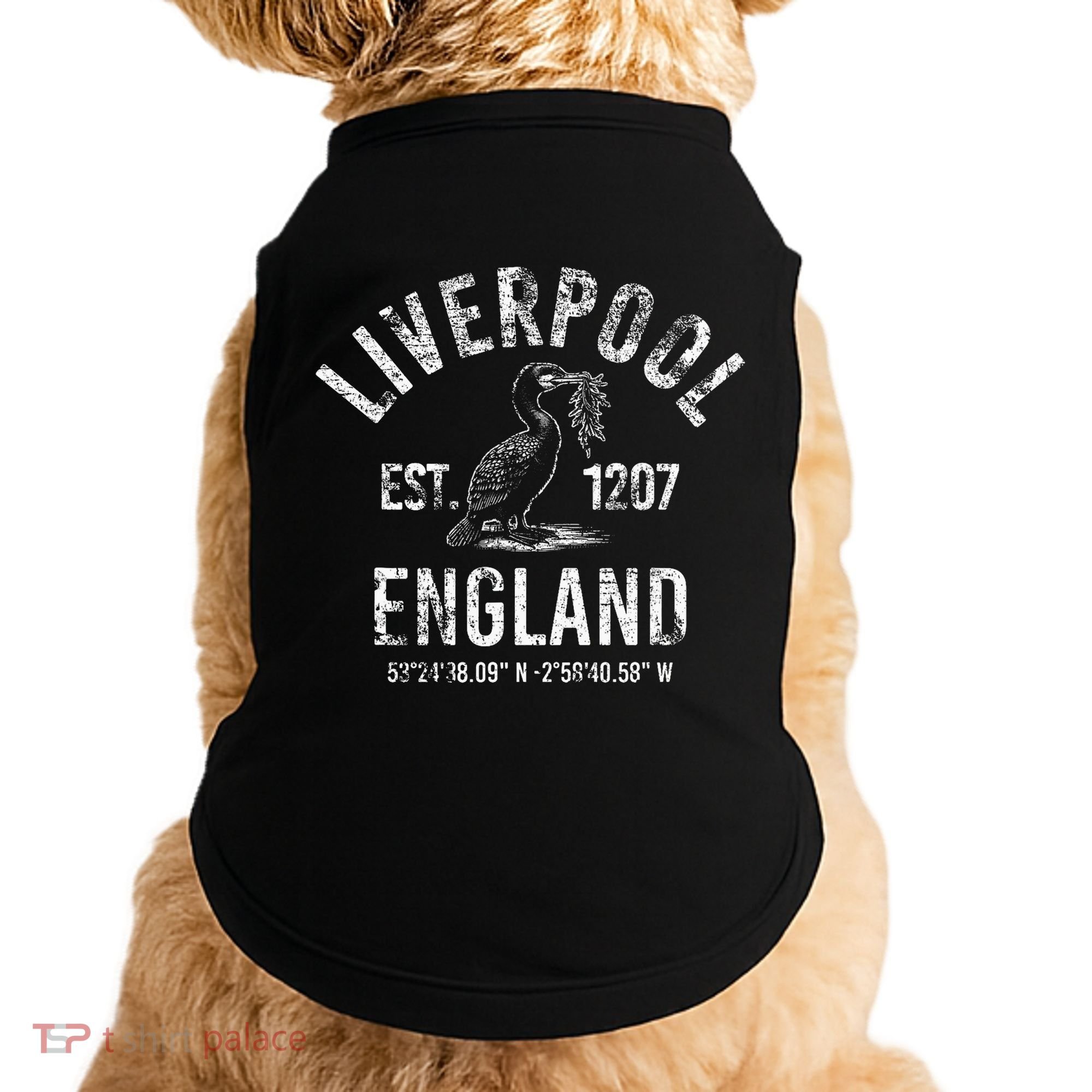 Liverpool England 1207 With Coordinates White Distressed Doggie Tank