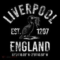 Liverpool England 1207 With Coordinates White Distressed Toddler Hoodie thumb 2
