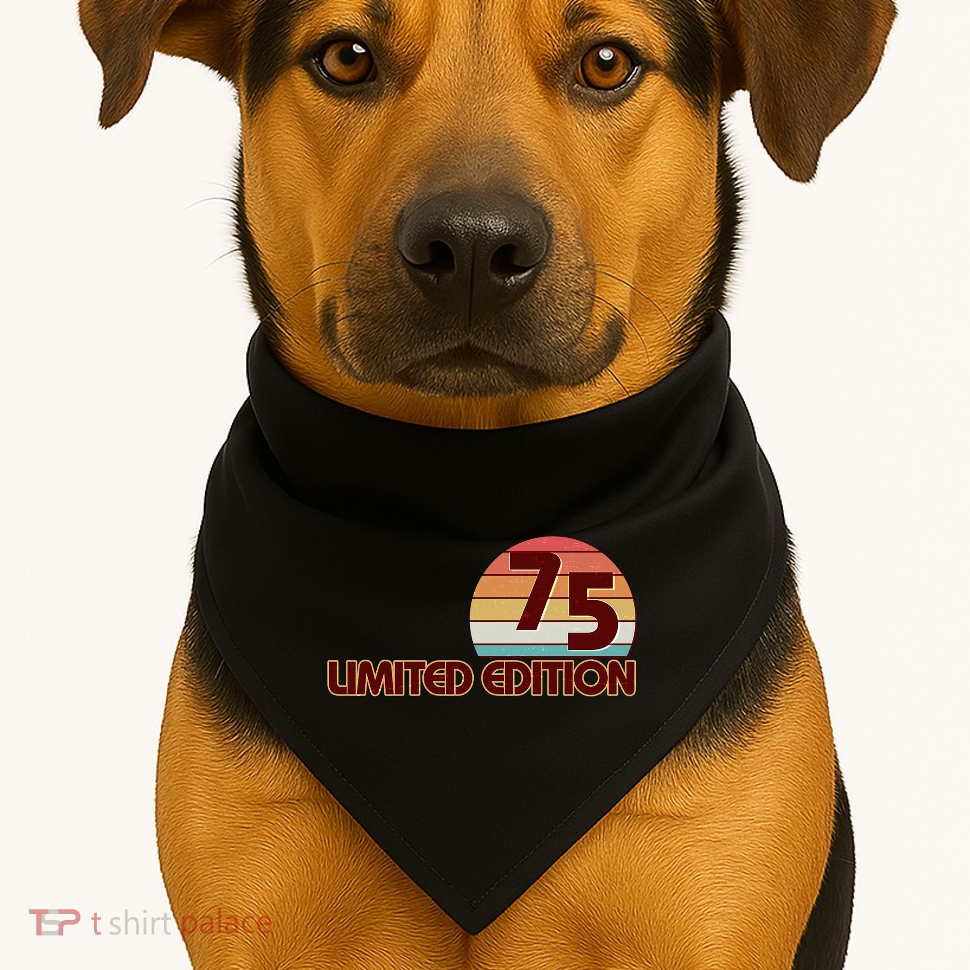 Limited Edition 1975 Retro Sun 50th Birthday USA-Made Doggie Bandana