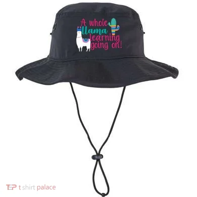 Learning Llama Bucket Hat