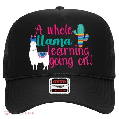 Learning Llama Hat