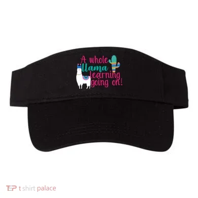 Learning Llama Visor