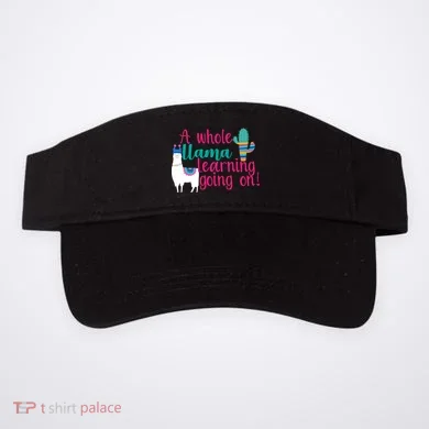 Visor