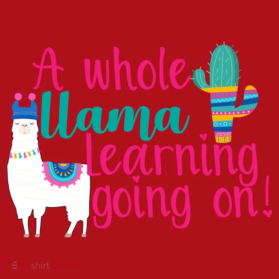 Learning Llama Christmas Stocking