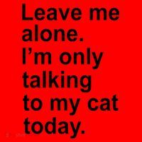 Leave Me Alone Talking To Cat Santa Hat thumb 1