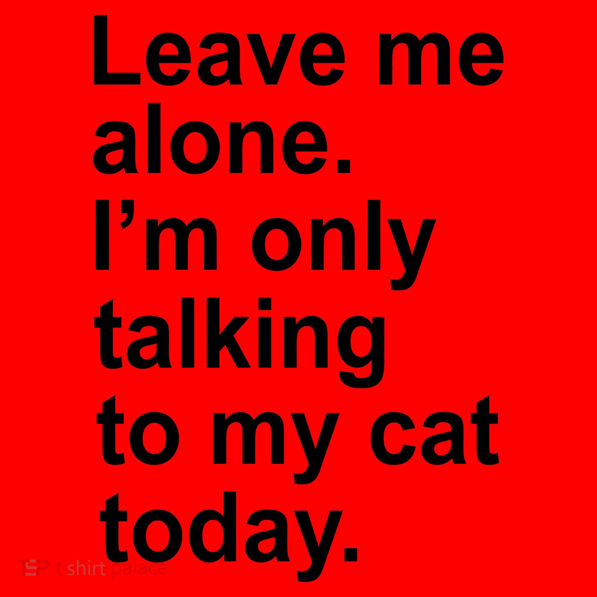 Leave Me Alone Talking To Cat Santa Hat