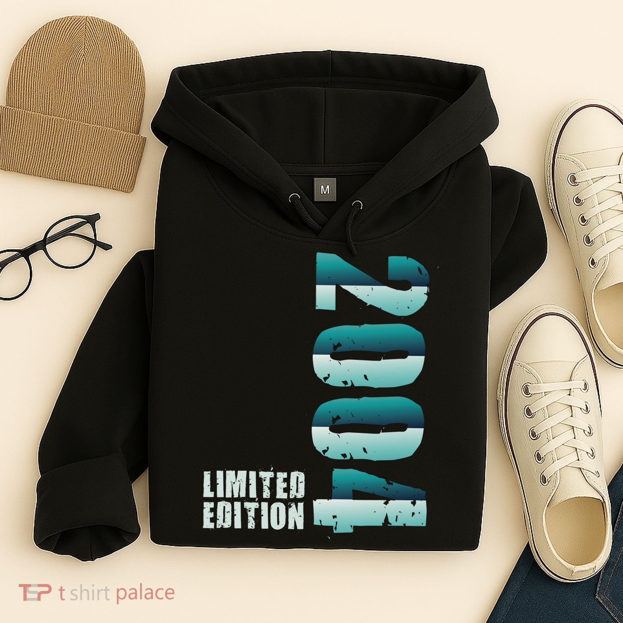 Limited Edition Birthday Made In 2004 Funny Gift Hoodie
