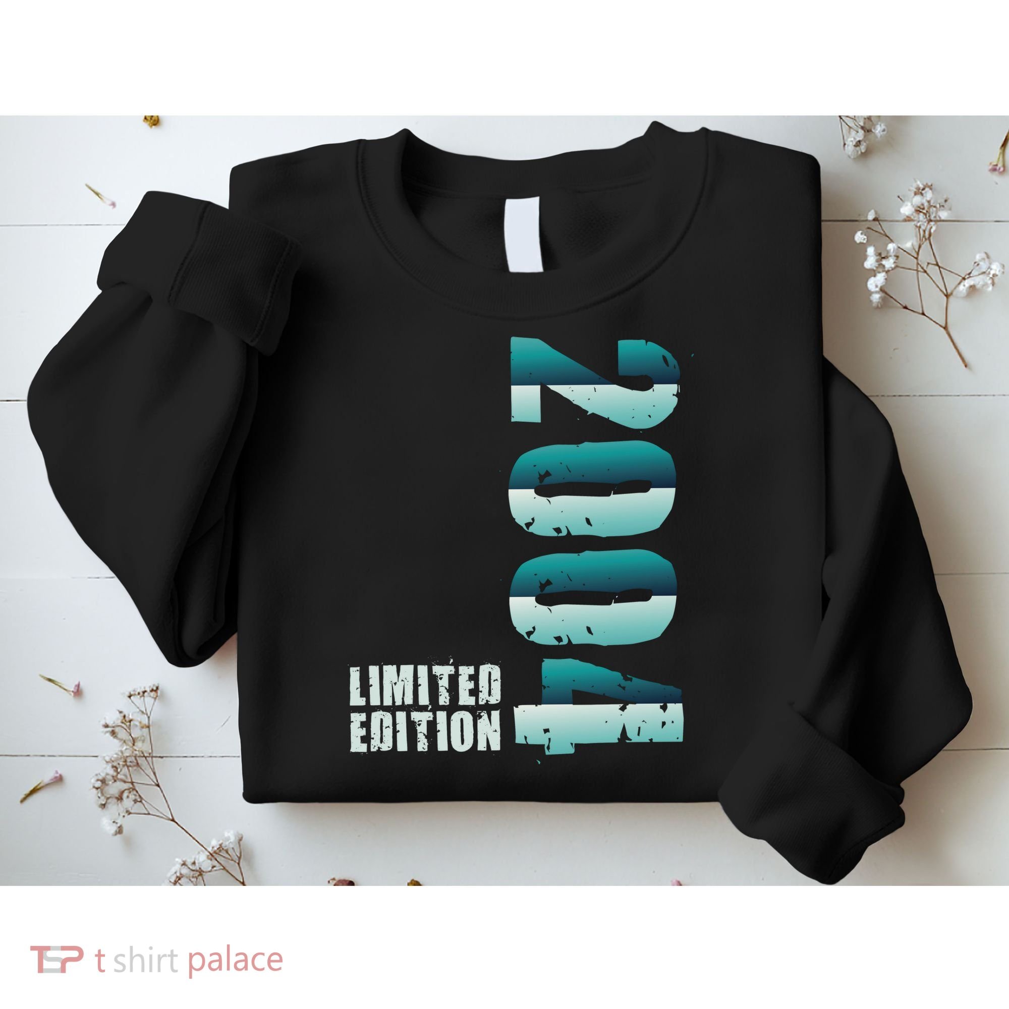 Limited Edition Birthday Made In 2004 Funny Gift Sweatshirt