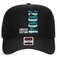 Limited Edition Birthday Made In 2004 Funny Gift Hat thumb 0