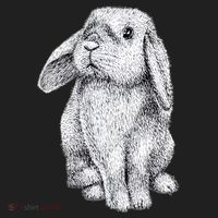 Lop Eared Bunny Rabbit Cute Gift Women's Sweatshirt thumb 2