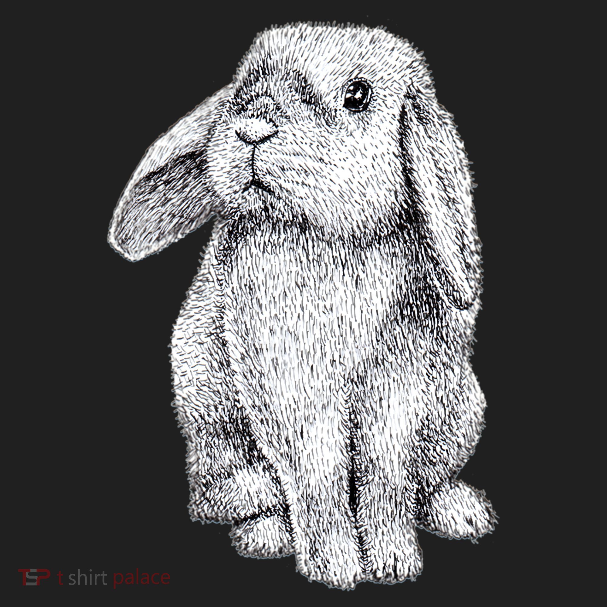 Lop Eared Bunny Rabbit Cute Gift Beanie