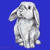 Lop Eared Bunny Rabbit Cute Gift Button thumb 1