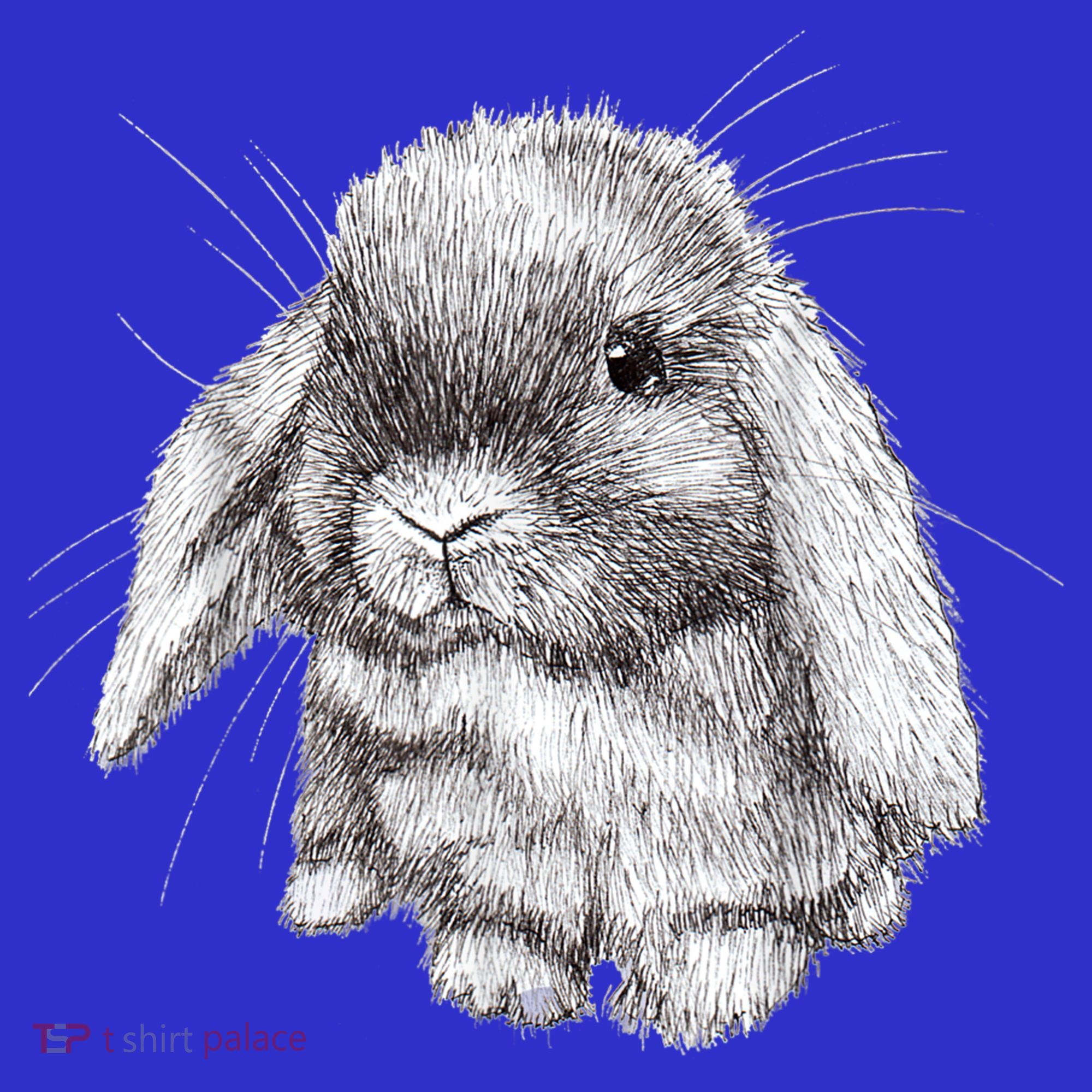 Lop Eared Bunny Rabbit Sketch Gift For Mens Womens Childrens Sweatshirt