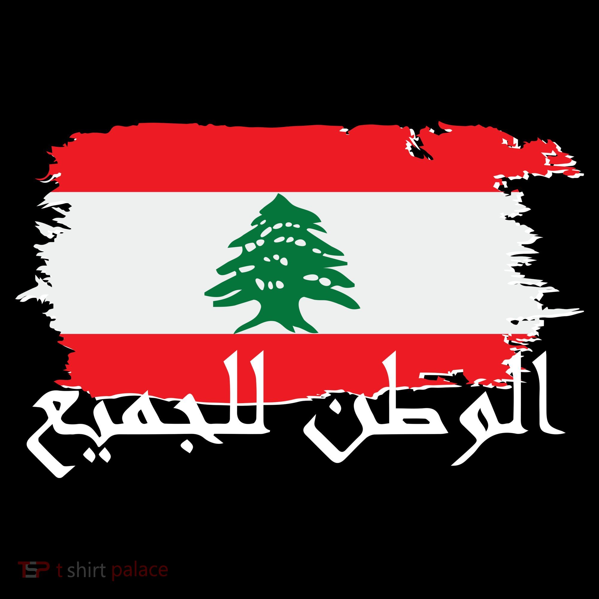 Lebanon Home For All Support Flag Bucket Hat
