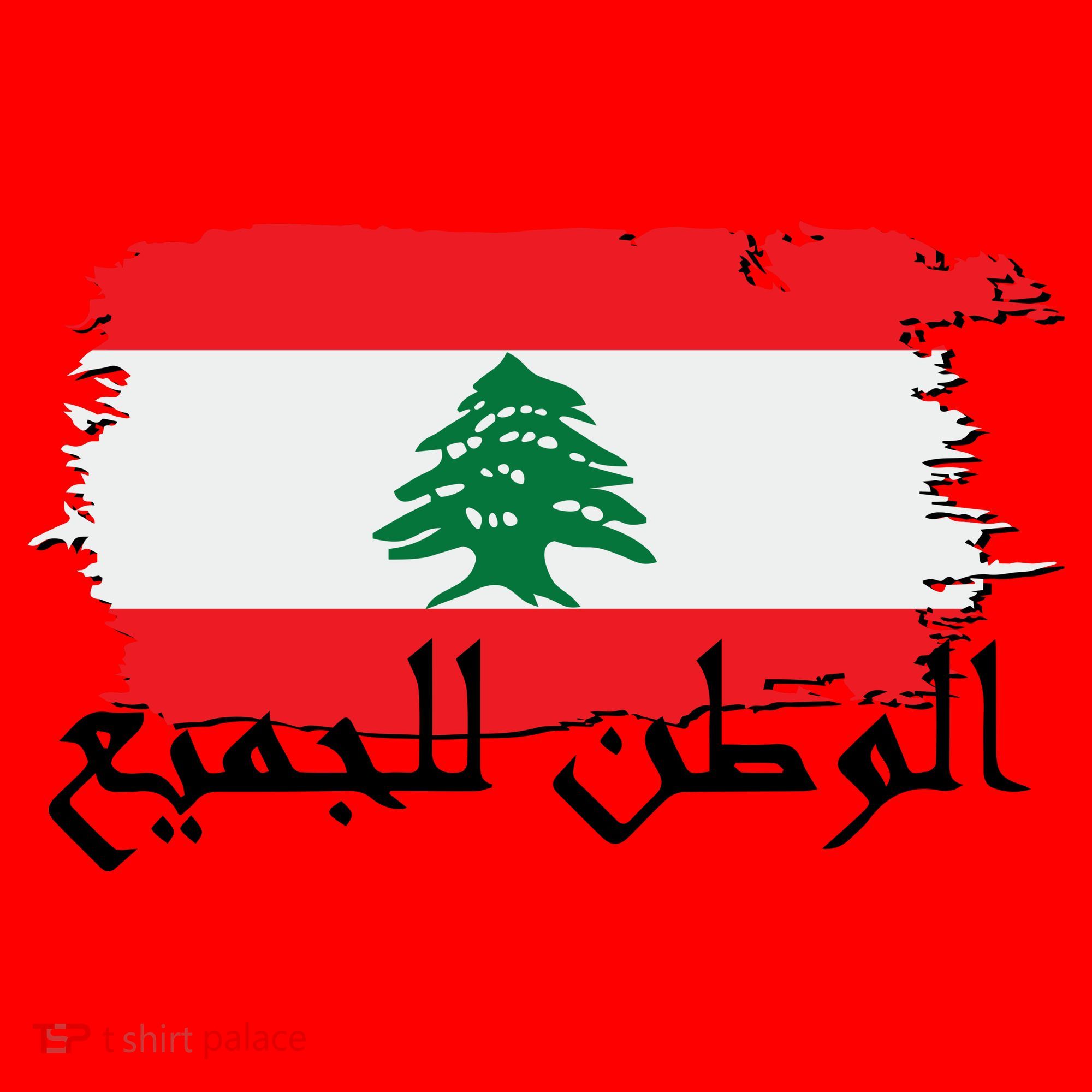 Lebanon Home For All Support Flag Santa Hat