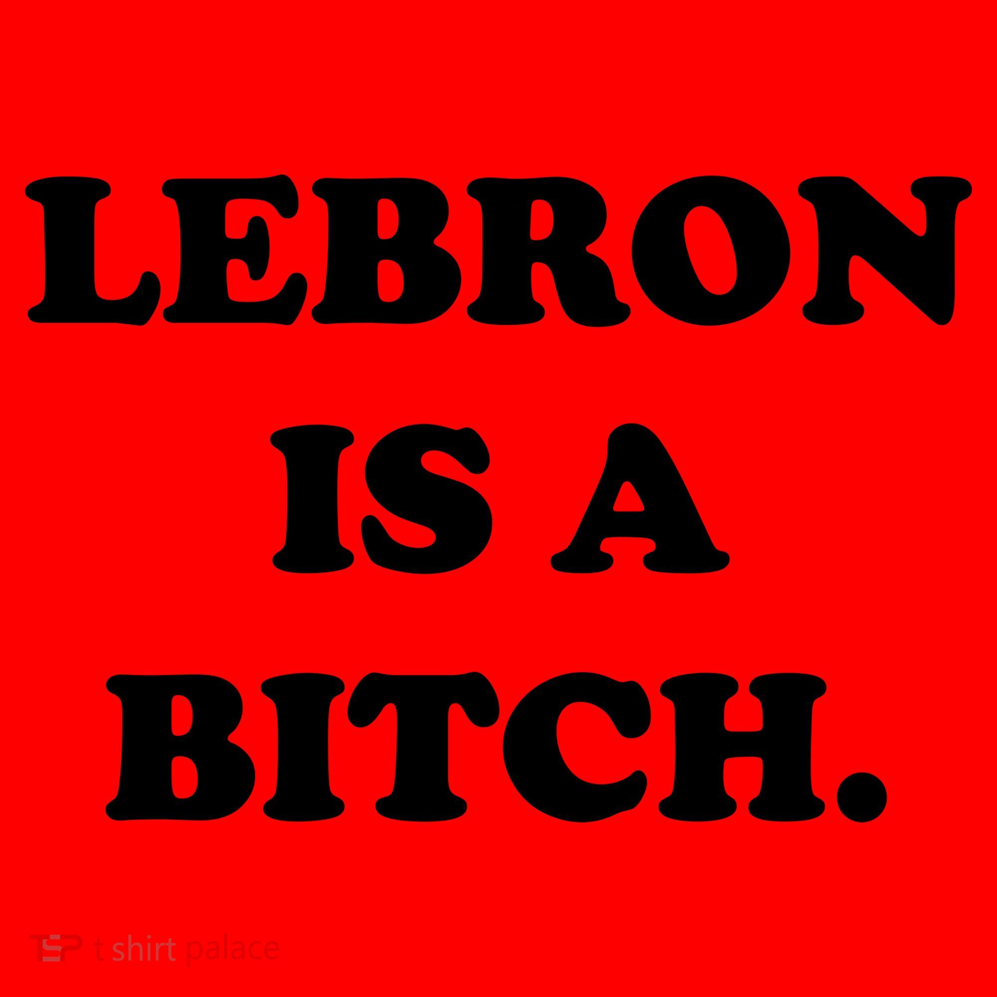 Lebron Is A Bitch Santa Hat