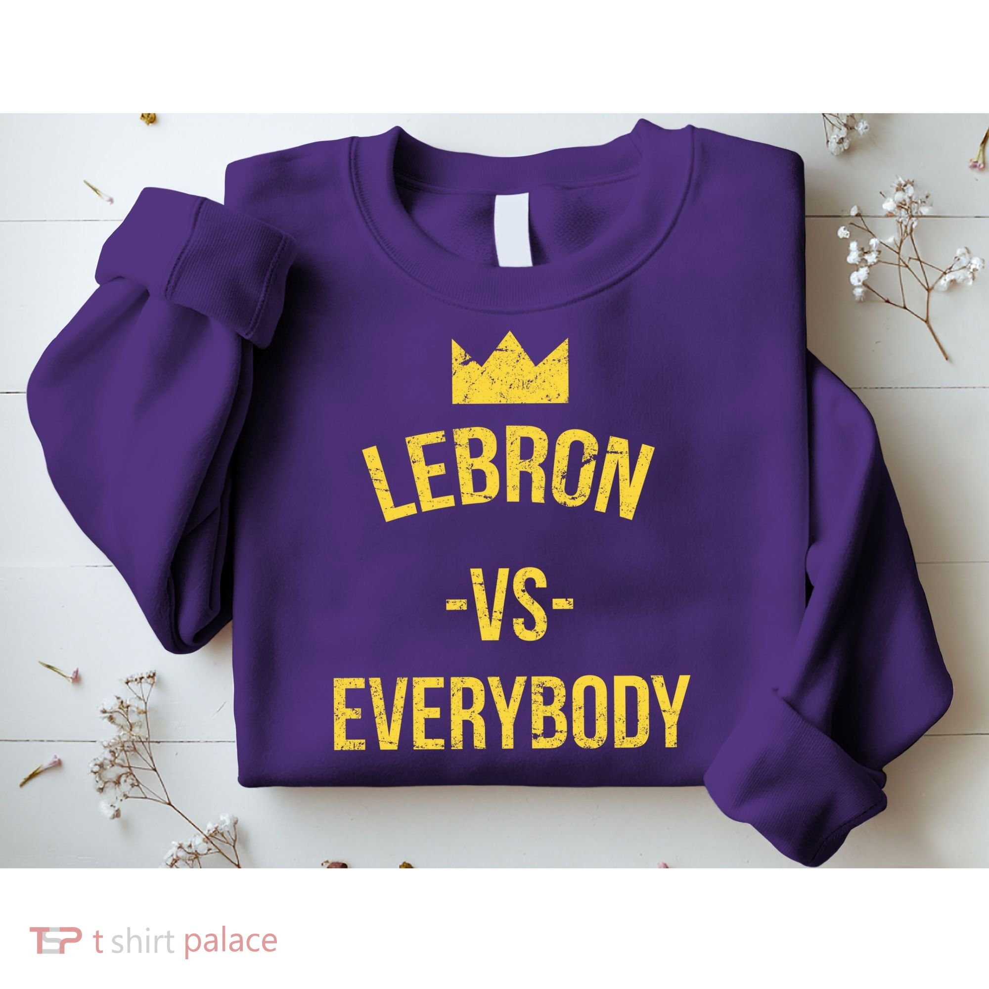 Lebron Vs Everybody LA Bron Basketball Sweatshirt