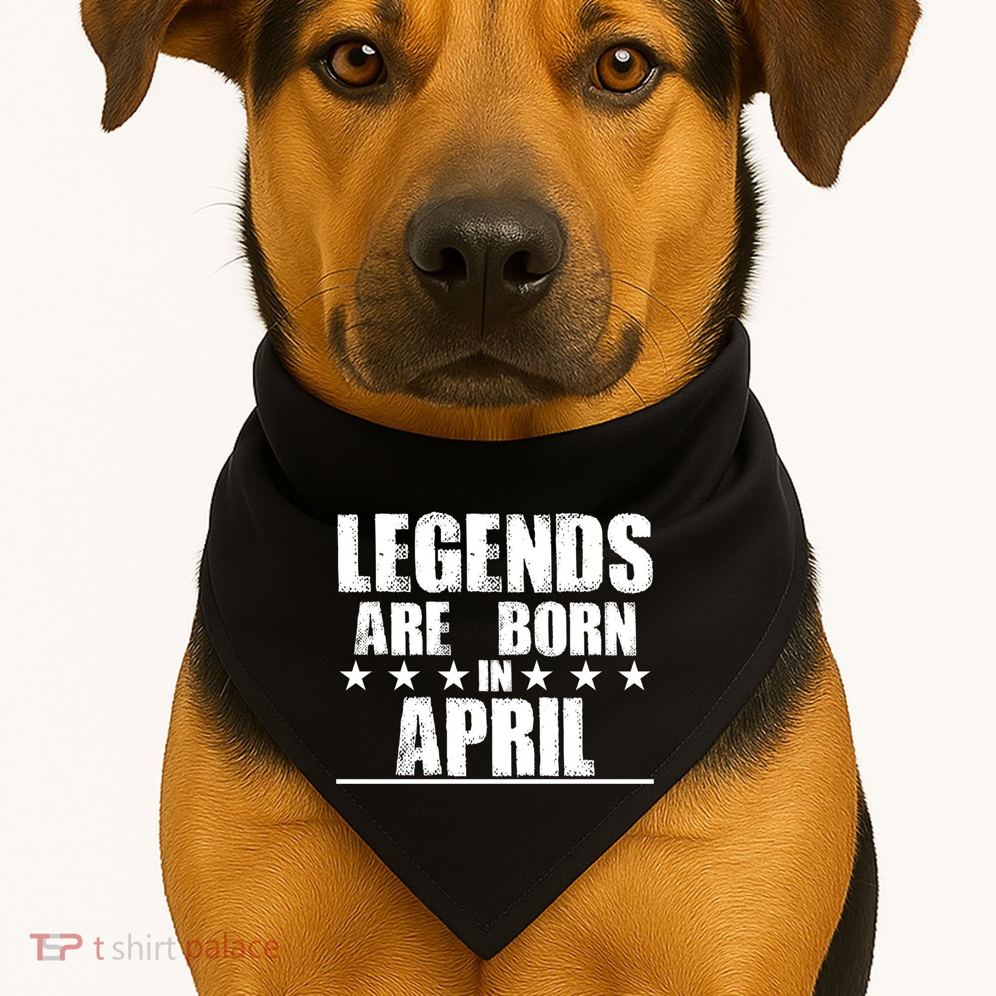 Legends Are Born In April Birthday USA-Made Doggie Bandana