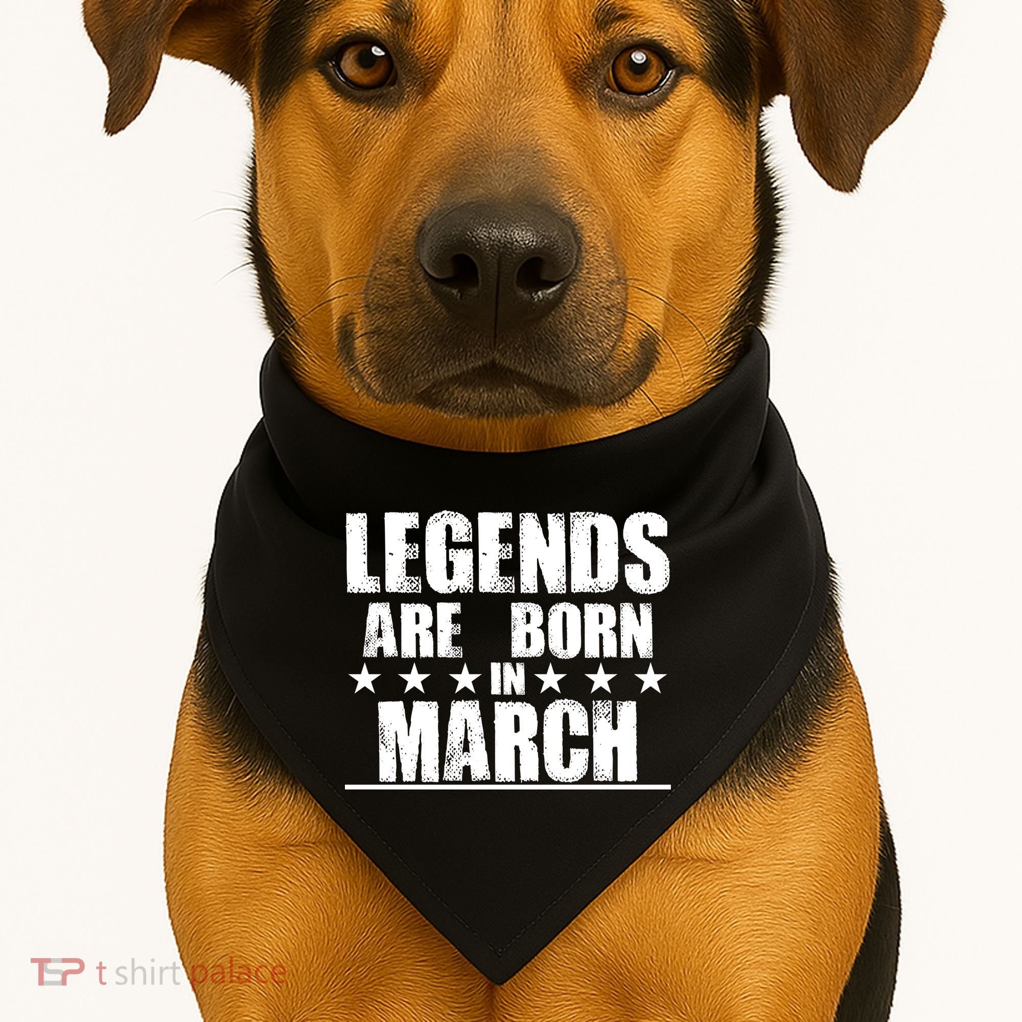 Legends Are Born In March Birthday USA-Made Doggie Bandana