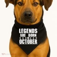 Legends Are Born In October Birthday USA-Made Doggie Bandana thumb 1