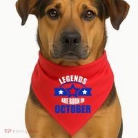 Legends Are Born in October Stars USA-Made Doggie Bandana thumb 1