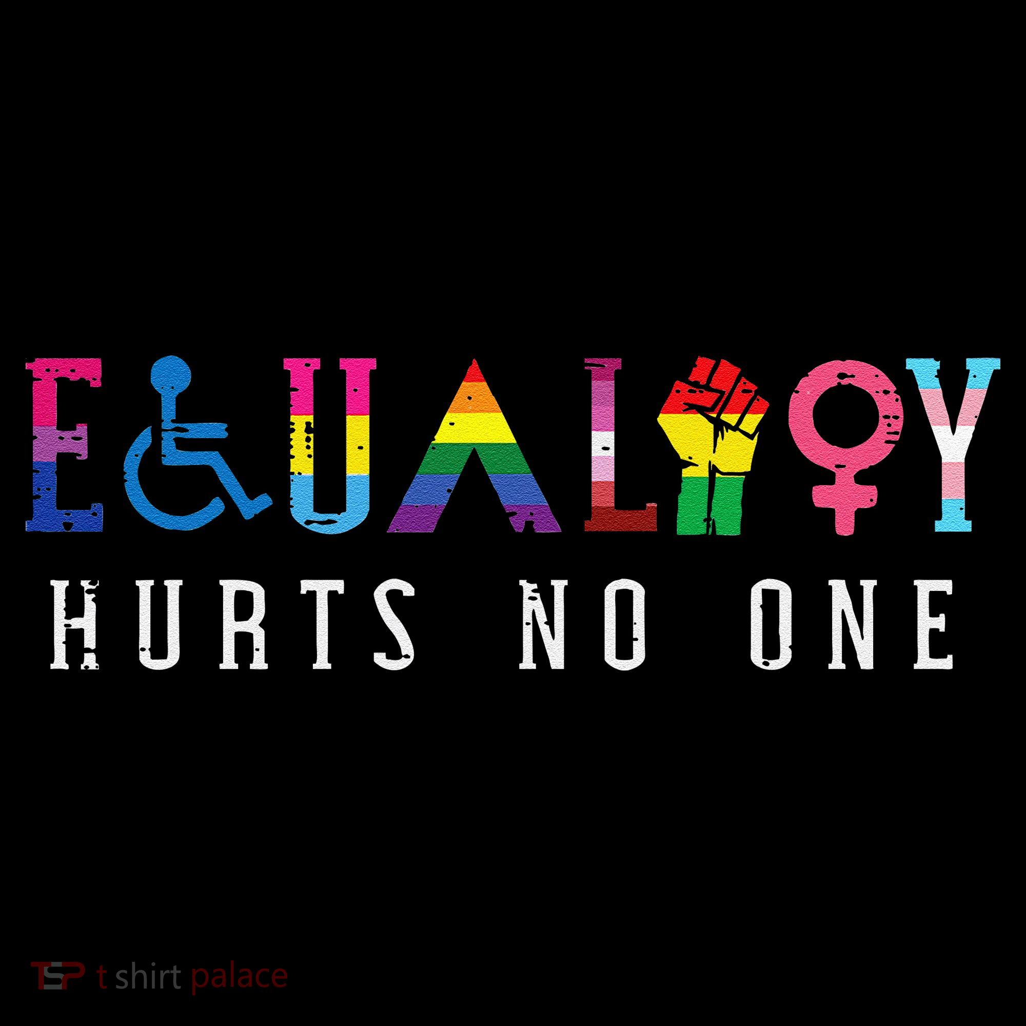 Lgbt Equality Hurts No One Pride Human Rights Ornament