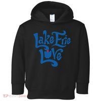 Lake Erie Love Toddler Hoodie thumb 0